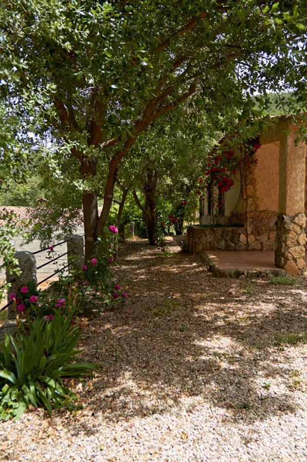 Casas Rurales Amable- Yeste Cortijo Prados Exterior photo