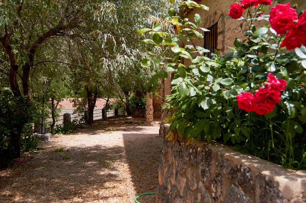 Casas Rurales Amable- Yeste Cortijo Prados Exterior photo