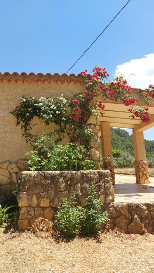 Casas Rurales Amable- Yeste Cortijo Prados Exterior photo